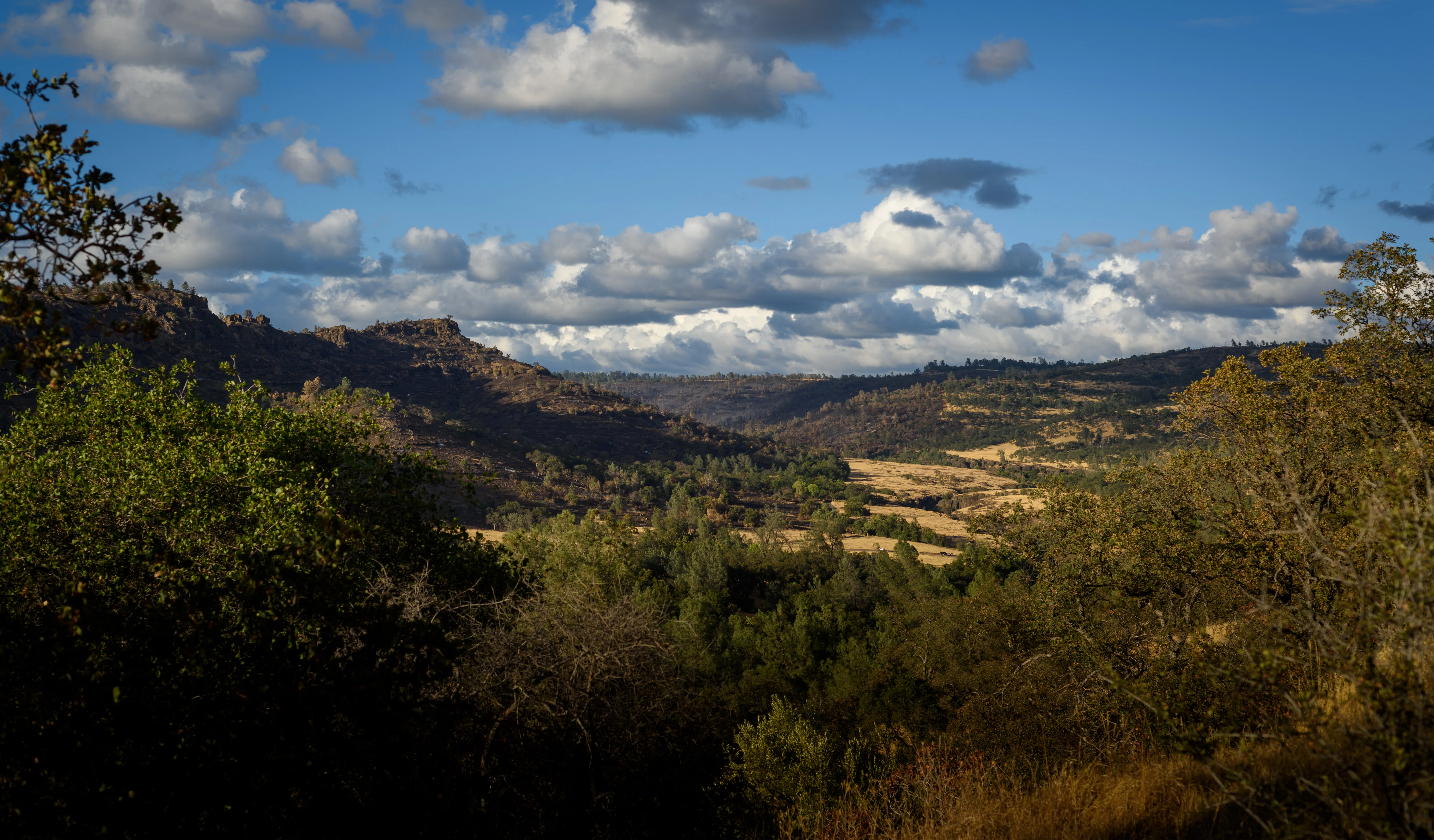 Oak foothills and open sky outside Chico, California